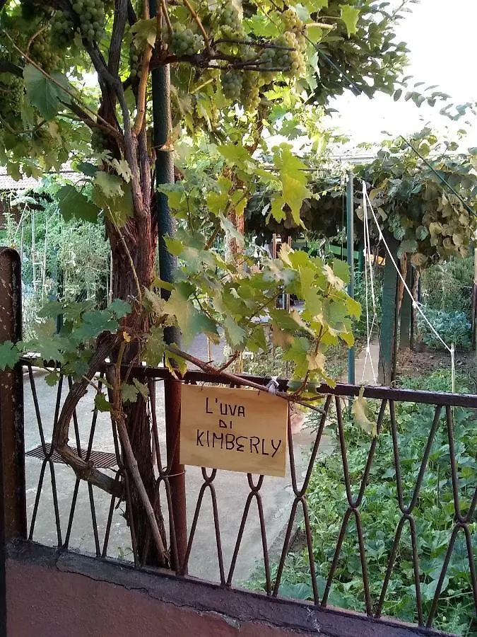 Appartamento Pavia L&T location